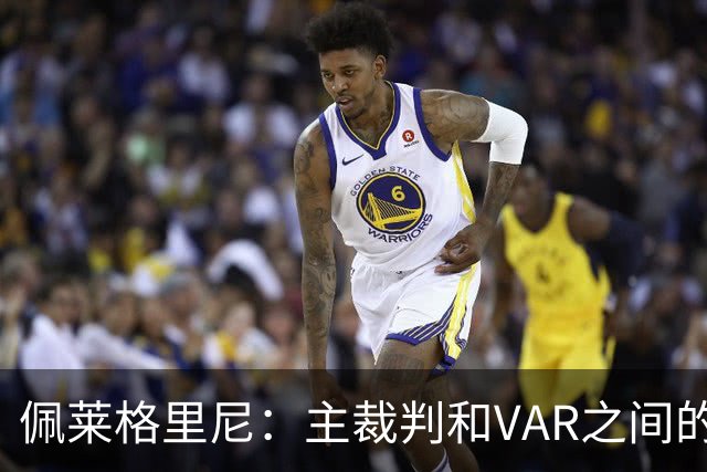 佩莱格里尼：主裁判和VAR之间的协作衔接，应该是需要改进的地方