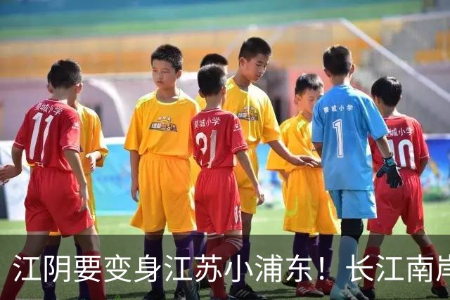 江阴要变身江苏小浦东！长江南岸的新风口来了